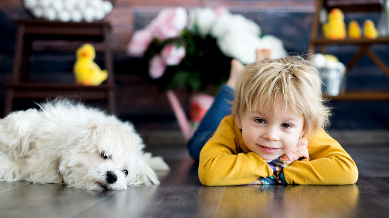 Toddler and white dog lying on a floor