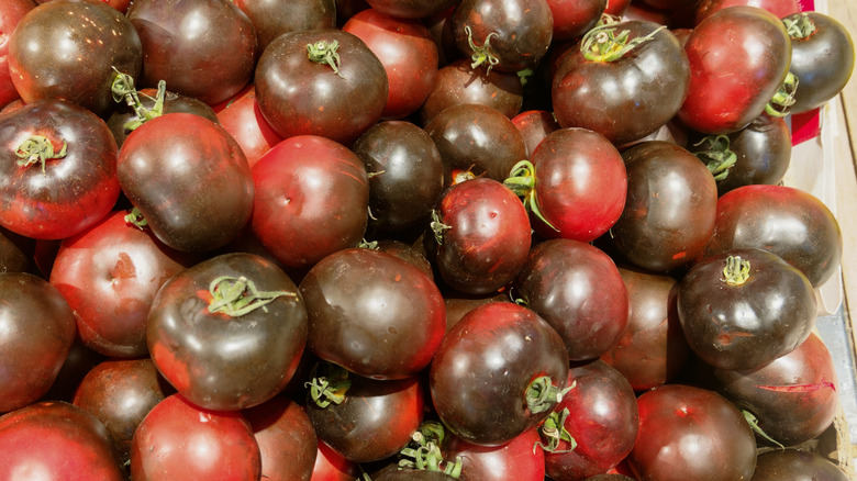 A closeup of cherokee purple tomatoes in a box