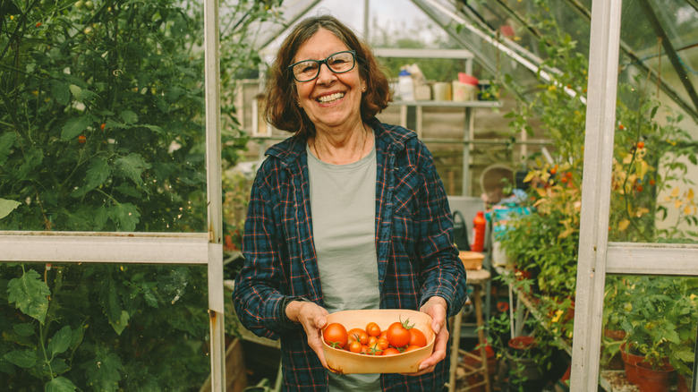 A gardener holds a basket of tomatoes in front of a greenhouse