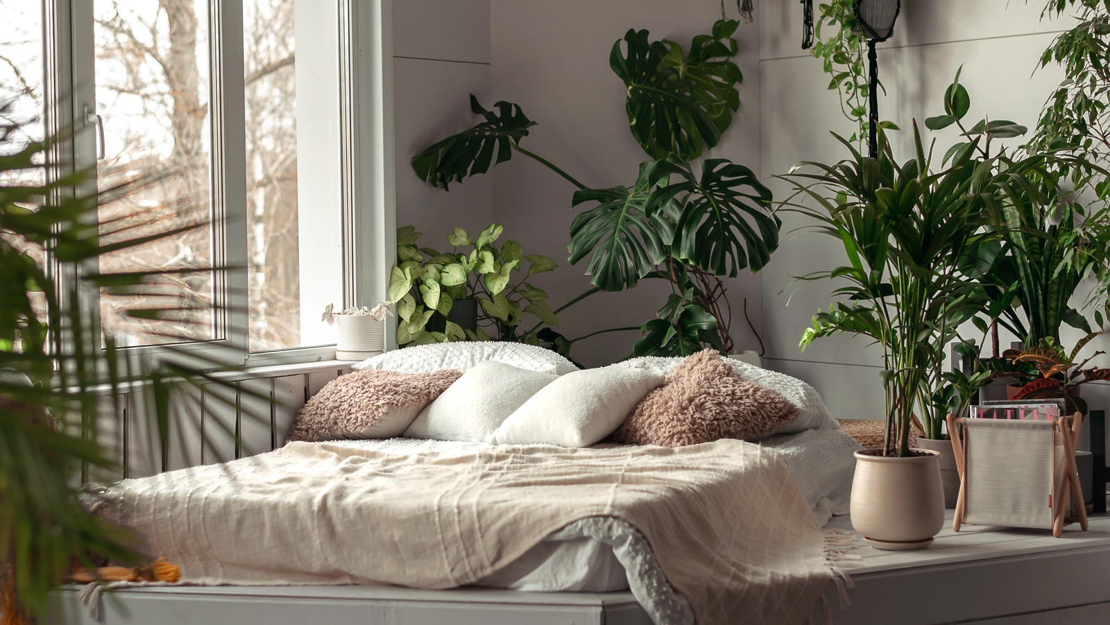 The Best Home Decor Trends That Have Come Out Of 2023 So Far