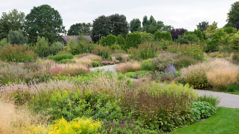 a landscape designed by Piet Oudolf