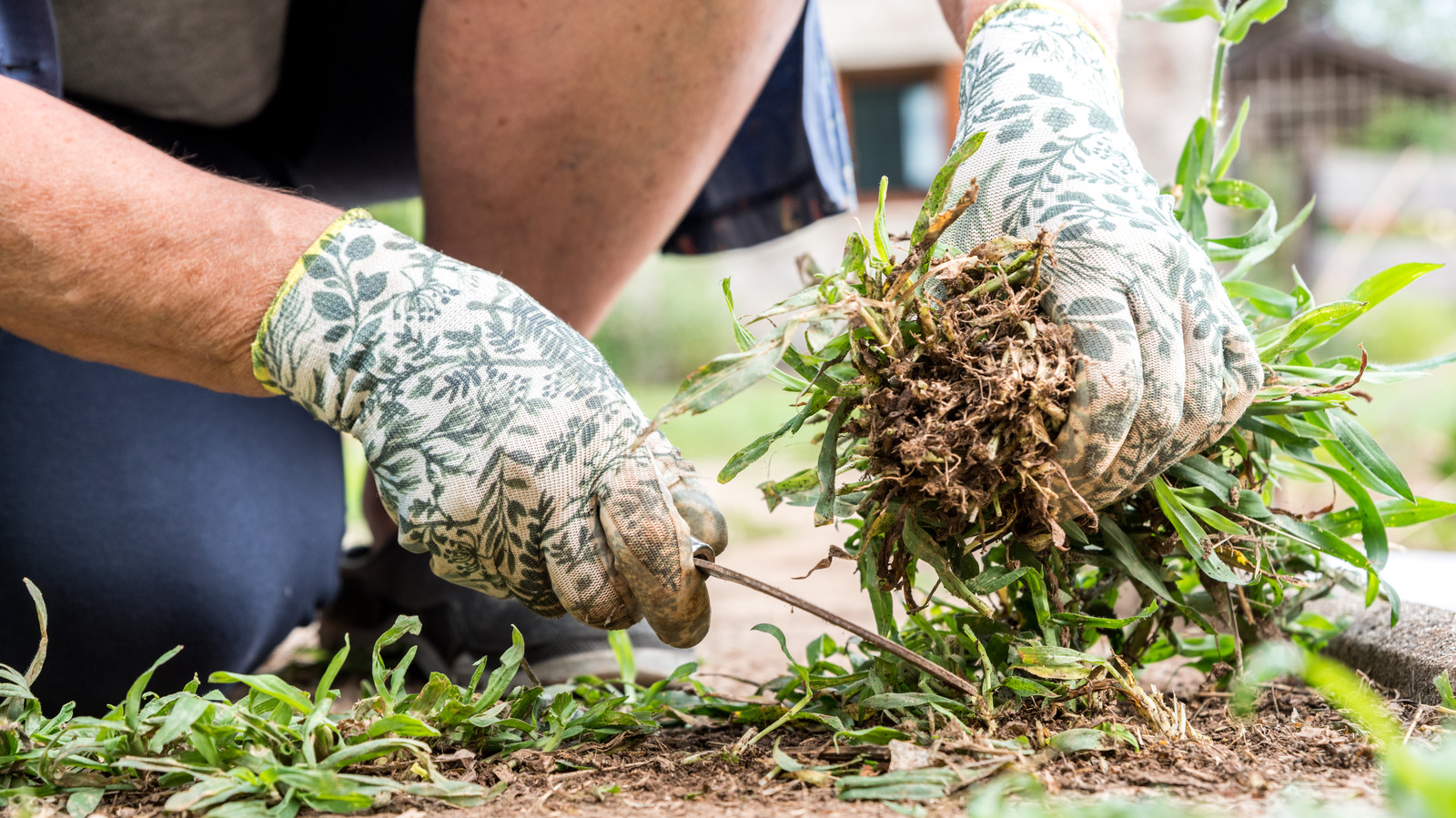 The Best Kind Of Mulch To Prevent Weeds, According To Our Landscaping