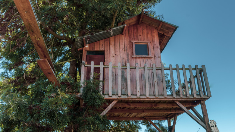 A just-finished children's tree house