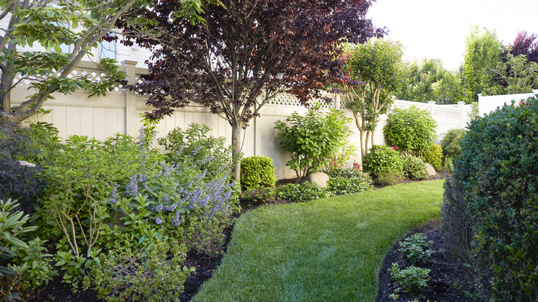 This ungraded landscape includes trees, shrubs, and a manicured turf pathway.