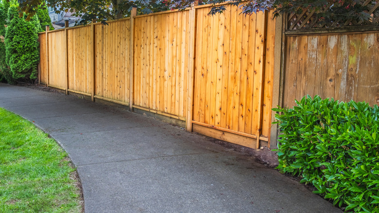 A high wood fence along a concrete walkway.