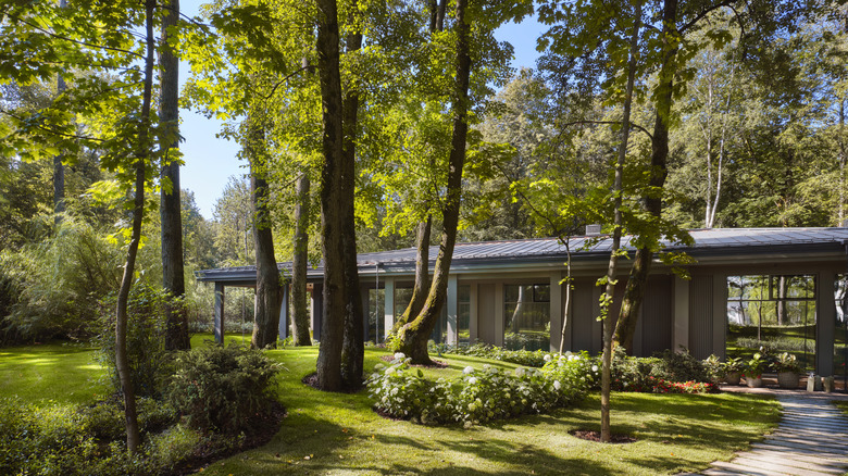 A home surrounded by mature trees.