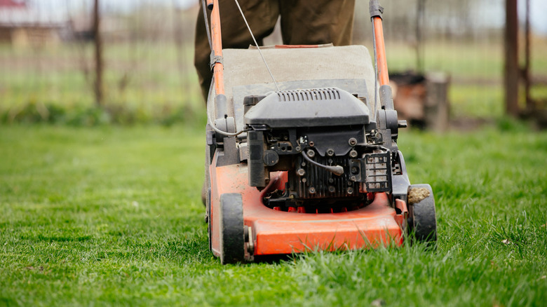 A person mowing long, bright green grass in a yard
