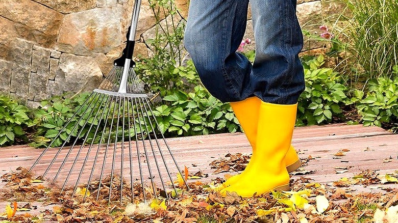 Tabor Tools leaf rake