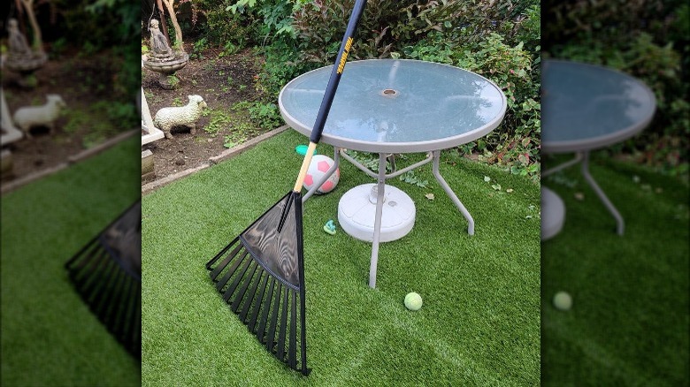 Rake on turf grass