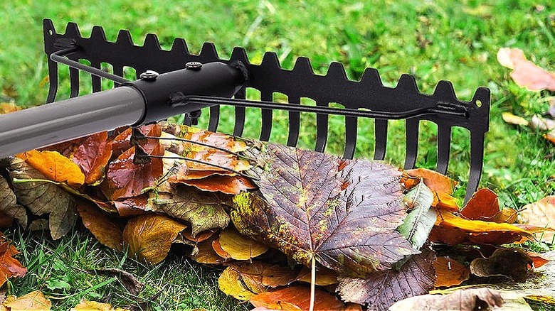 Walensee leaf rake