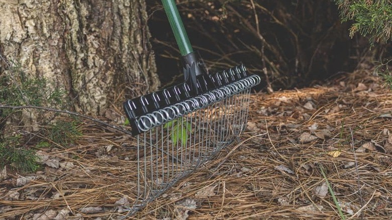The 9 Best Leaf Rakes For Keeping Your Lawn In Tip-Top Shape This Fall