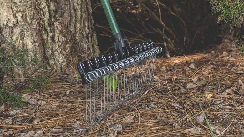 Groundskeeper II rake