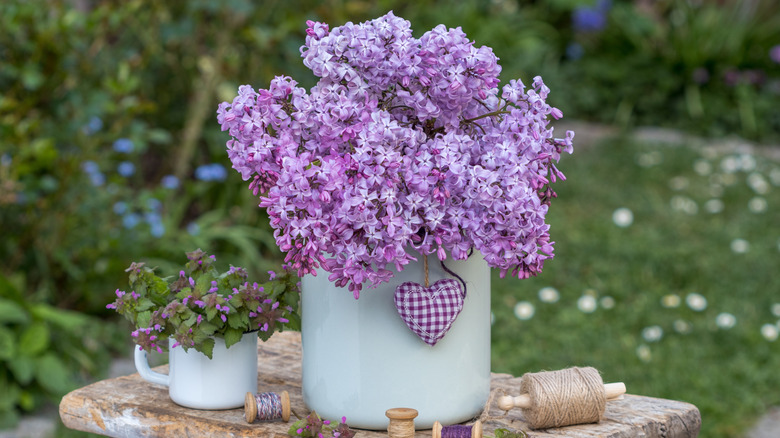 Pretty cut lilac flowers in a white pot on a small wooden table outdoors