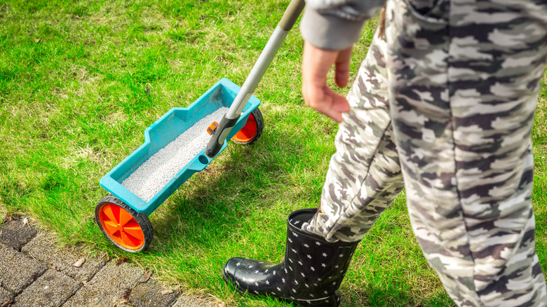 applying pelleted fertilizer with a lawn spreader