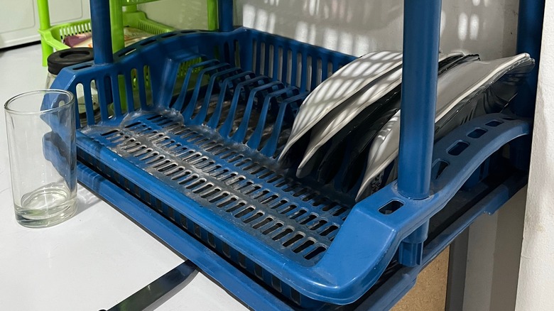 a blue plastic dish rack with mold growing on it