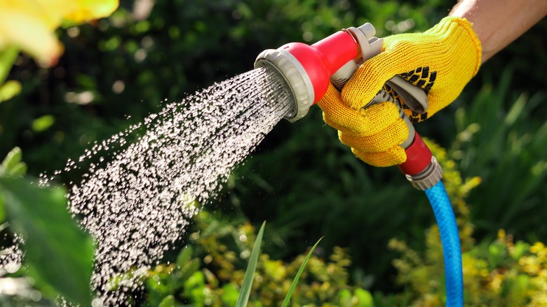 Cleaning A Garden Hose Nozzle