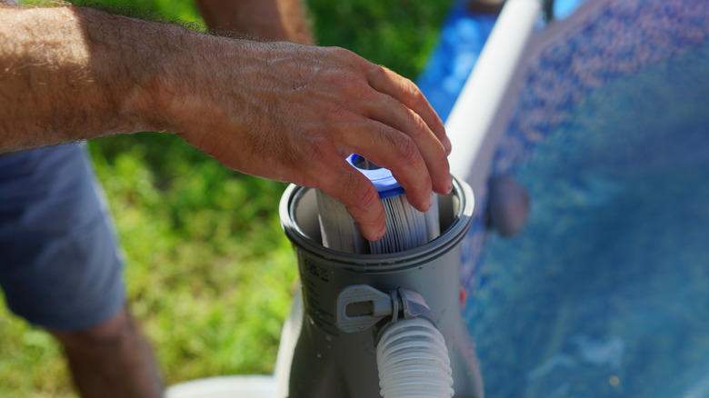 person cleaning swimming pool filter