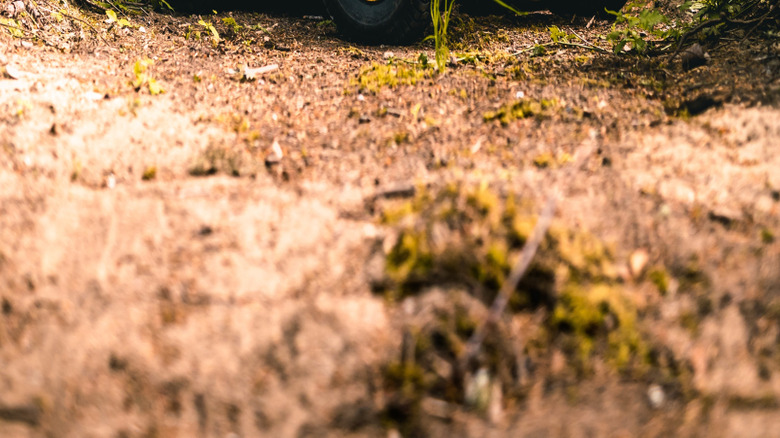 Lawn mower sitting in a fall landscape