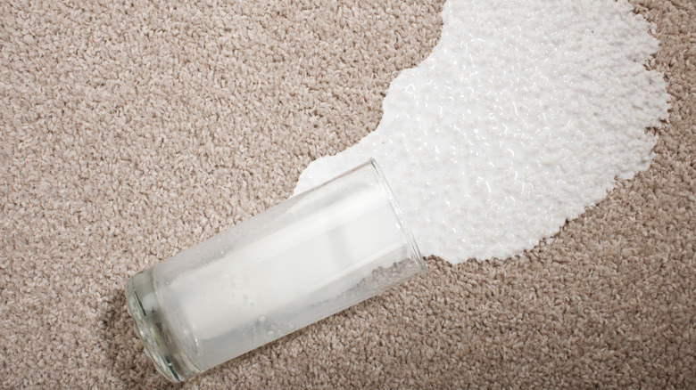 Spilled milk on carpet
