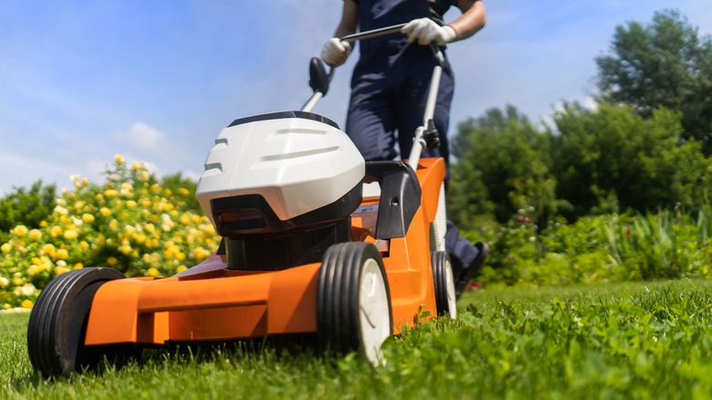 person mowing the lawn