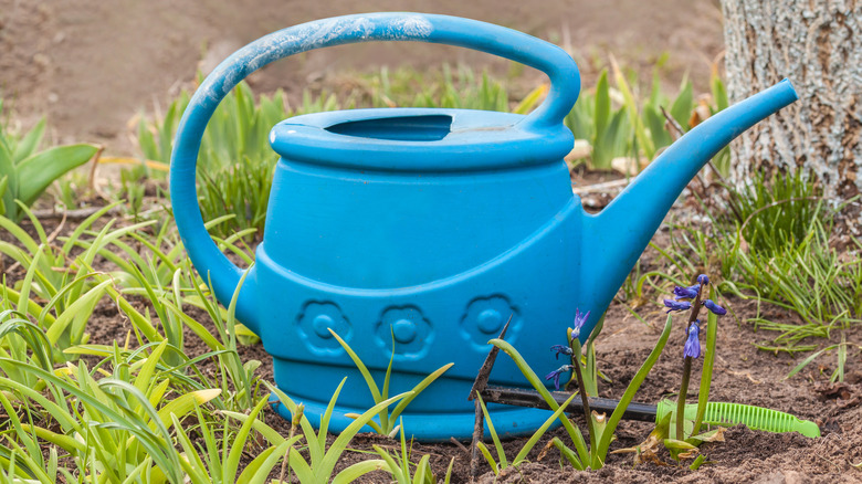water cannister