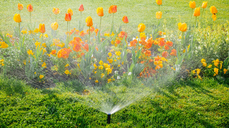 flower bed with irrigation system