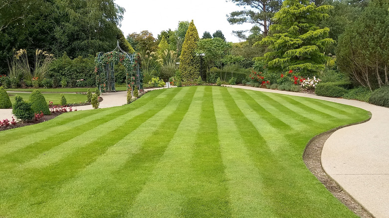 A lush striped lawn with concrete walkways and trees in the background.