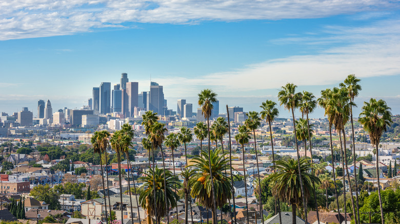 LA skyline with palm trees