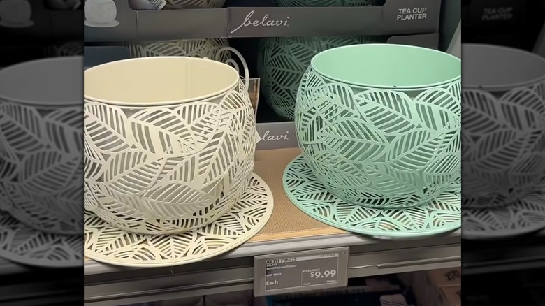 Belavi Tea Cup planters on Aldi shelf