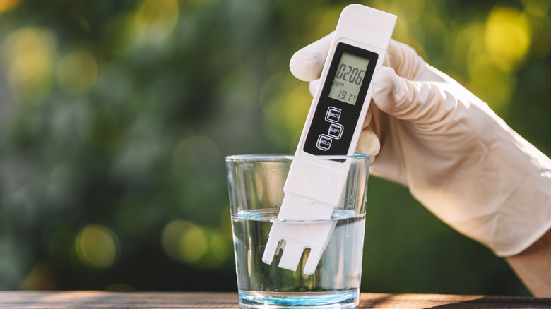 Gloved hand puts pH tester in water