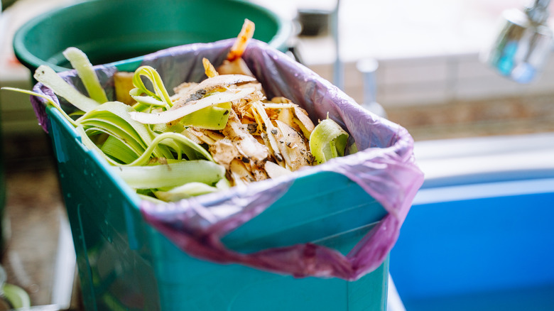 A compost bin sitting on the kitchen counter