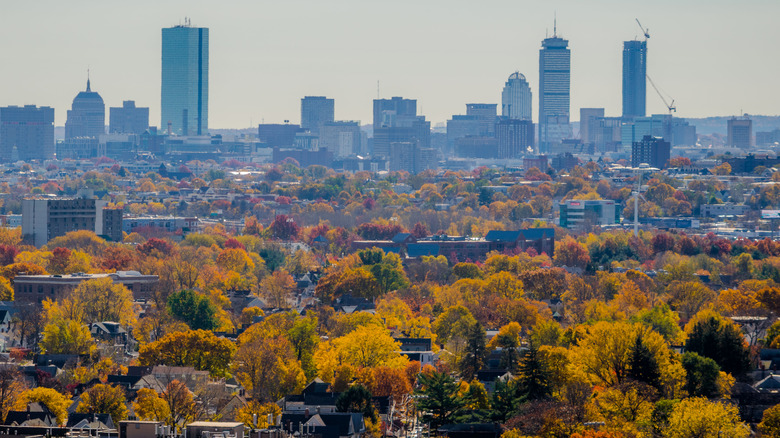 fall foliage and Boston skyline