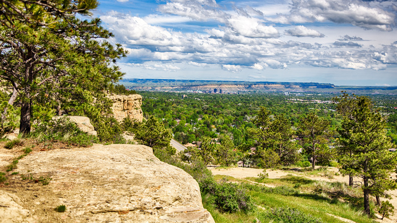 View overlooking Billings