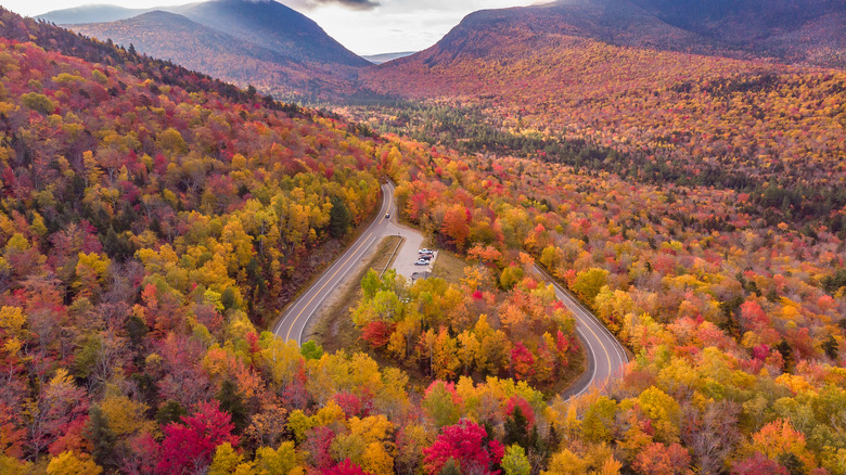 New Hampshire's autumn trees