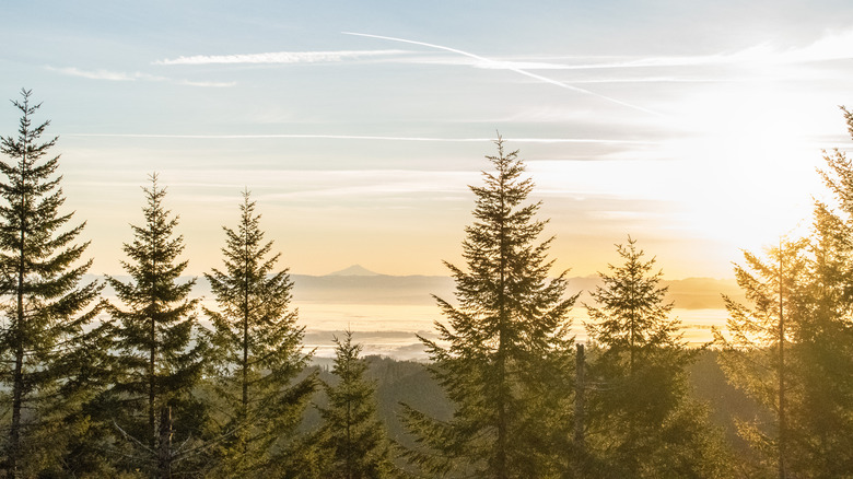 Sunrise in Corvallis