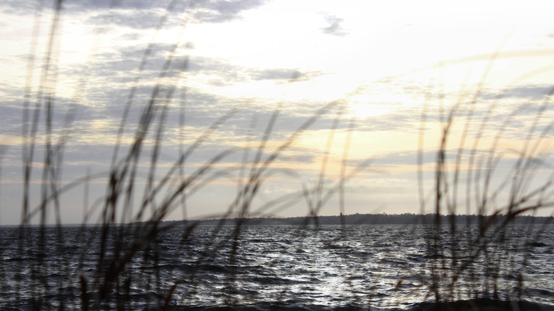 Barrington Beach