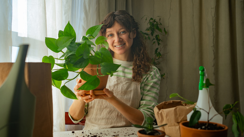 Person holding a pothos plant by the window