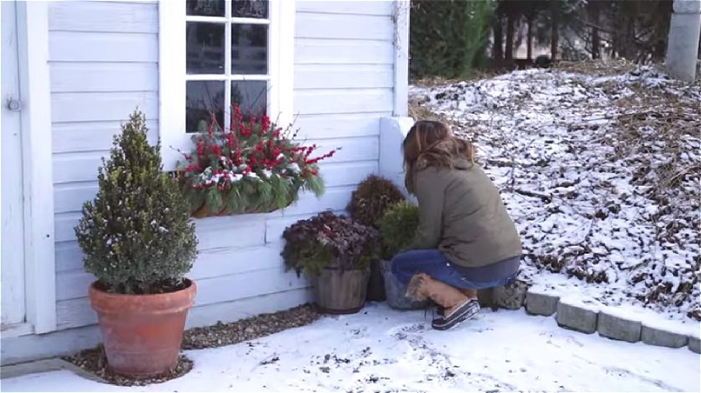 Woman moving potted plants together near the wall of a house in winter
