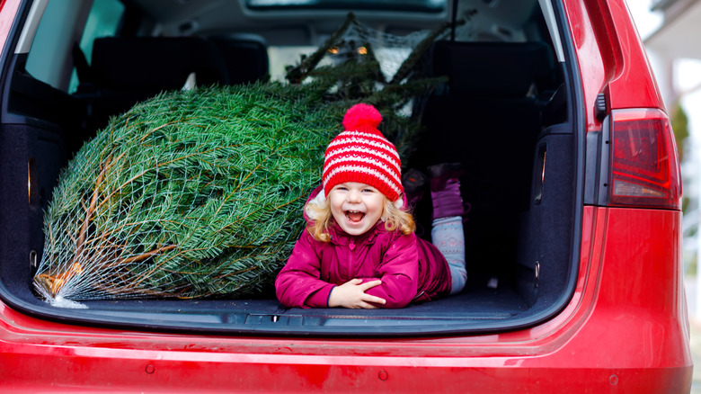 Adorable little girl in the back of a car with Christmas tree