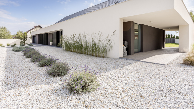 A modern home with minimalist landscaping using gravel and drought tolerant plants.