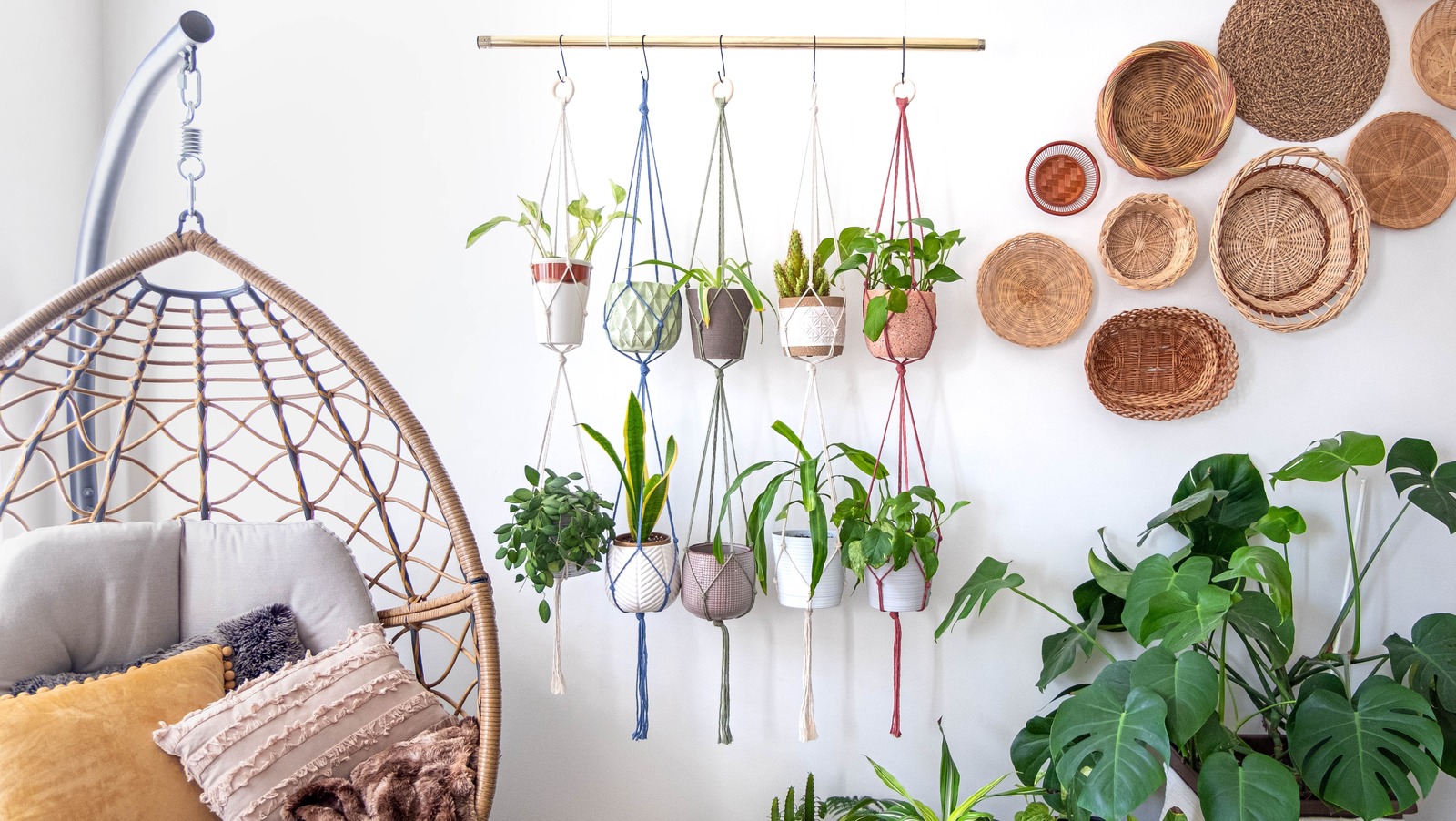 The Best Places To Hang Plants In Your Home – House Digest