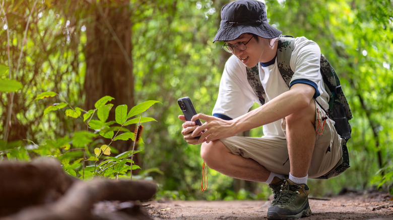 A man taking a photo of a plant while hiking