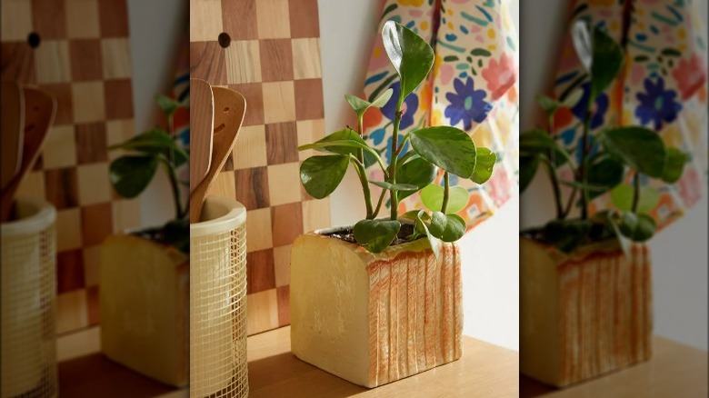 Bread loaf shaped plant pot