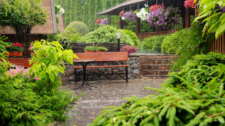 colorful garden with various plants in the rain