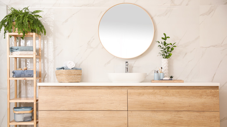 Fern plant in modern bathroom