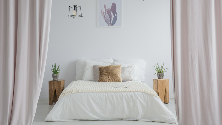 Bed with aloe plants on both sides