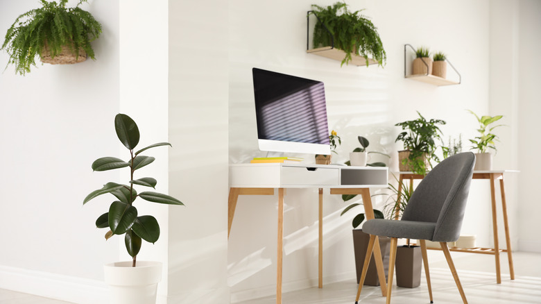 home office with several plants