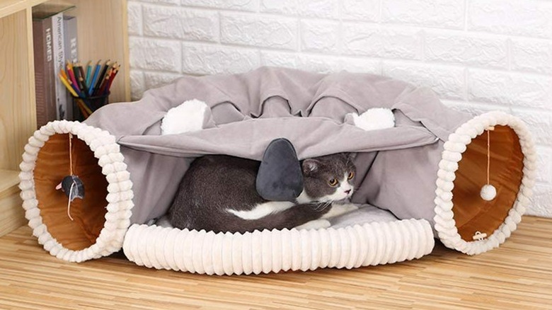 Cat using gray play tunnel