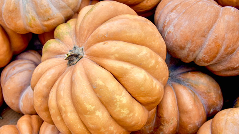 Long Island cheese pumpkins