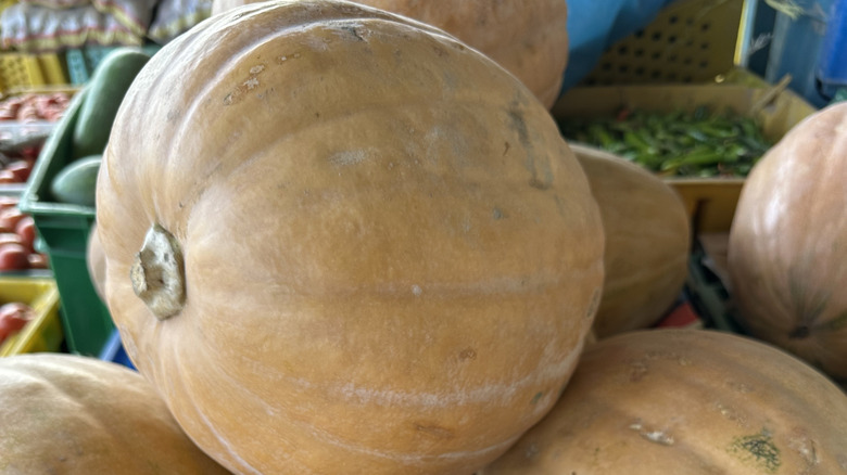 Tan pumpkins at a farm stand